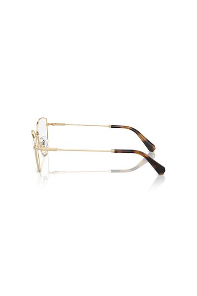 Swarovski Woman Cat Eye Eyeglasses- Sk 1012 - Lense Size:54mm - Pale Gold