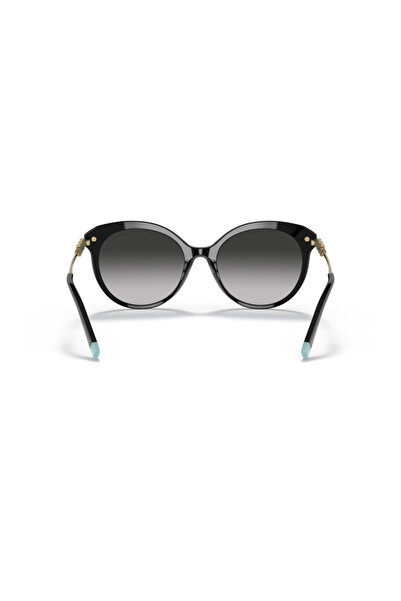 Vogue Tiffany Woman Cat Eye Sunglasses- Tf 4189b - Lense Size:55mm - Gold