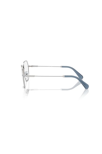 Swarovski Woman Irregular Eyeglasses- Sk 1011 - Lense Size:53mm - Silver