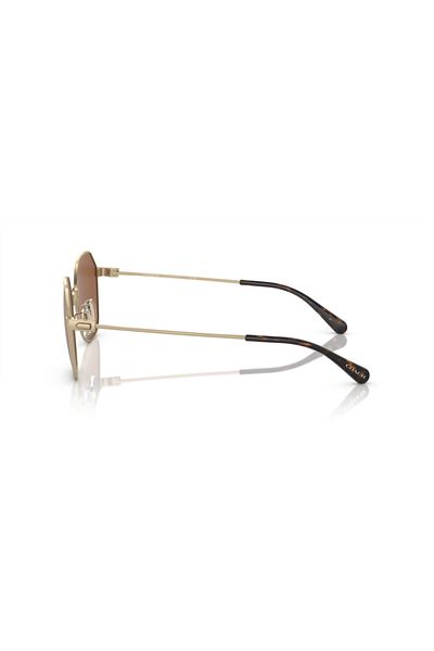 Coach Man Irregular Sunglasses- Hc 7155 - Lense Size:54mm - Light Gold Satin Color