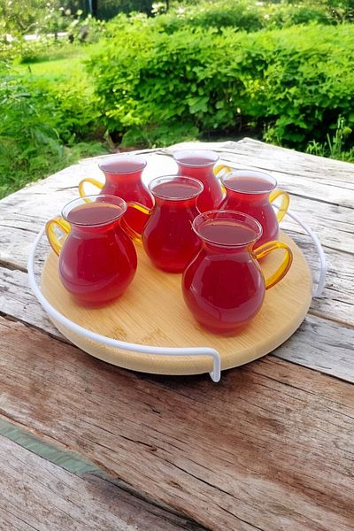 Kitchen Way Orange Handled Glass Cup Set 175ml, 6 L, Dessenli Borosilicate Arbitrary Thermosil