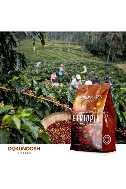 Dokunoosh Etiyopya Yöresel Kahve - Orta Kavrulmuş Çekirdek - 250 gr