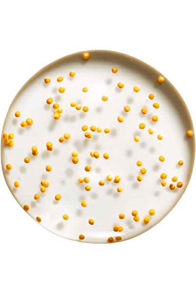 Max Factor Miracle Pure Skin Illuminating Serum 30ml