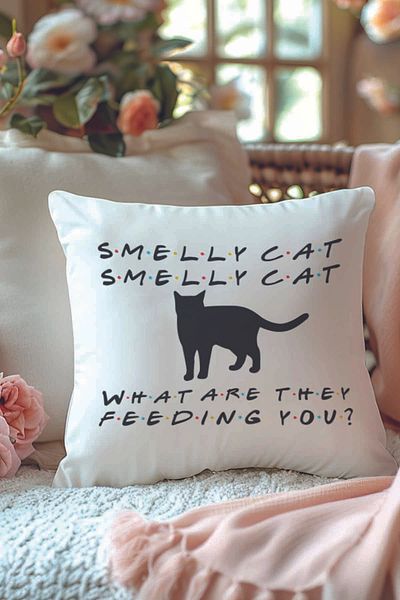 qoeuyl boutique Smelly Cat Printed Friends Gift Fiber Filled Decorative Pillow