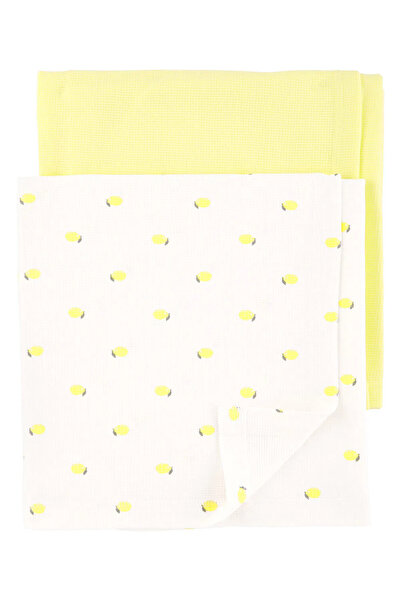 Carter's Baby Girl Blanket