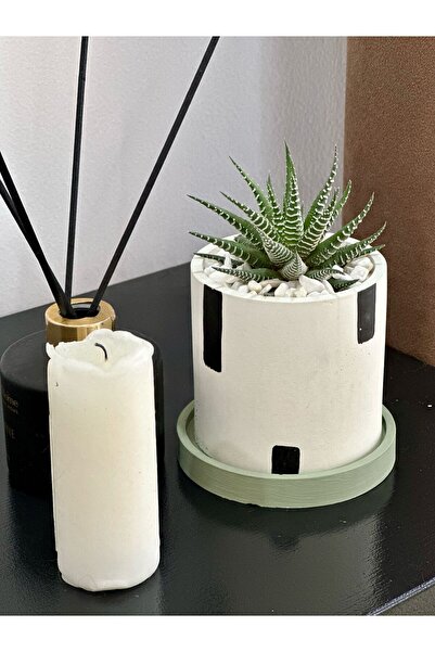 Home (BİTKİLİ) Premium Siyah Şeritli Beton Saksıda Sukulent Ev Dekorasyon Hed...