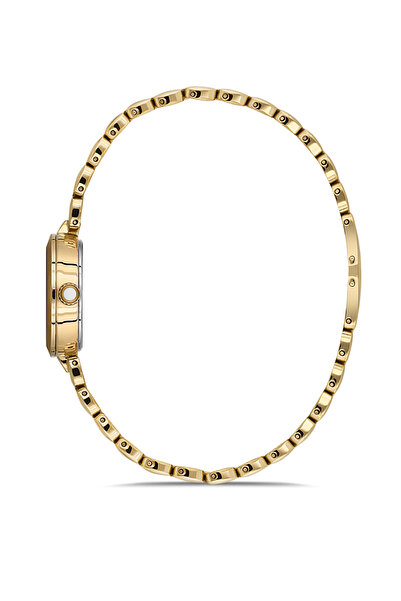 Momentus Ss279G-09Sg Women Wrist Watch