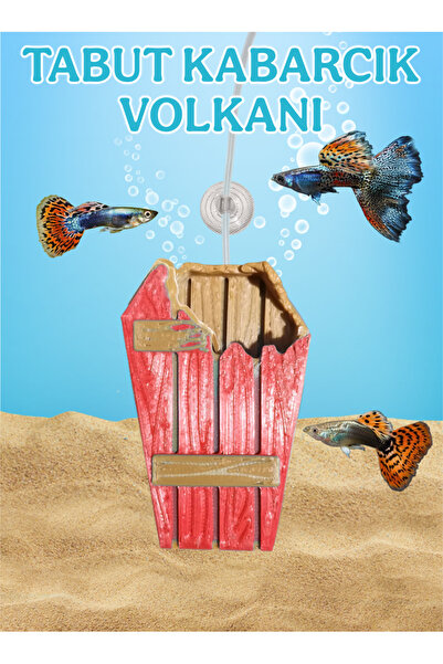 MDİZMİR Lepistes için Kabarcık Volkanı ( Mavi Renk ) Fanus , Küçük Akvaryum v...