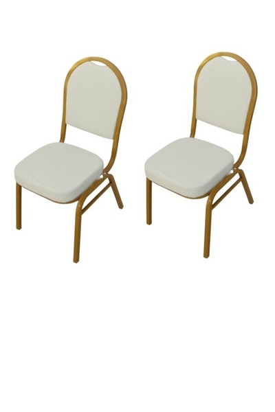 smart home Chairs set consisting of 2 chairs, modern comfortable padded chair for living room, dining chair