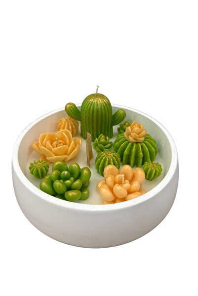 magnocandles Sukulent kaktüs mum 18x5 cm yuvarlak kasede kokulu