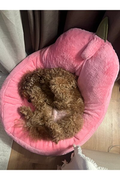 Butik Kedi ve Köpek yatağı pembe