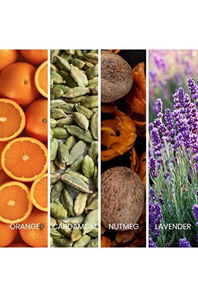 sapil Bound for Men Eau De Toilette 100ml