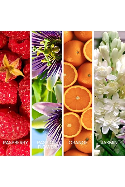 sapil Bound for Women Eau De Parfum 100ml