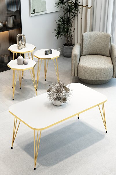 BARIN DESIGN 3'Lü Sekizgen Zigon Sehpa ve Dikdörtgen Orta Sehpa Takımı Modern...