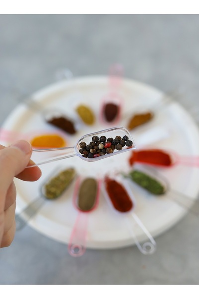 BOHONEST Set of 12 Practical Crystal Mini Size Plastic Food Seasoning Shovel Spoons