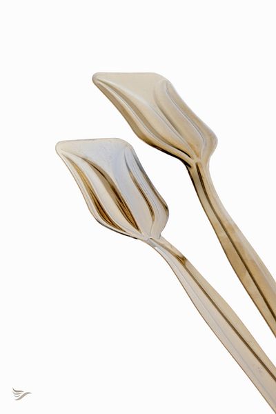 rubihome Gold Serving and Presentation Food Tongs