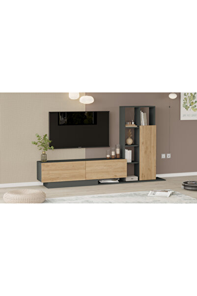 Yurudesign Blaze Tv Ünitesi Kapaklı Kitaplık Raf Sepet-Antrasit BE1-SA