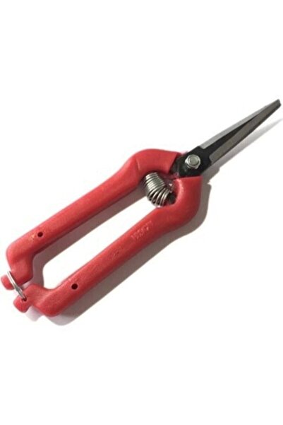 BOZKIR HIRDAVAT Fruit Picking Scissors Economical (grapes, strawberries, citr...
