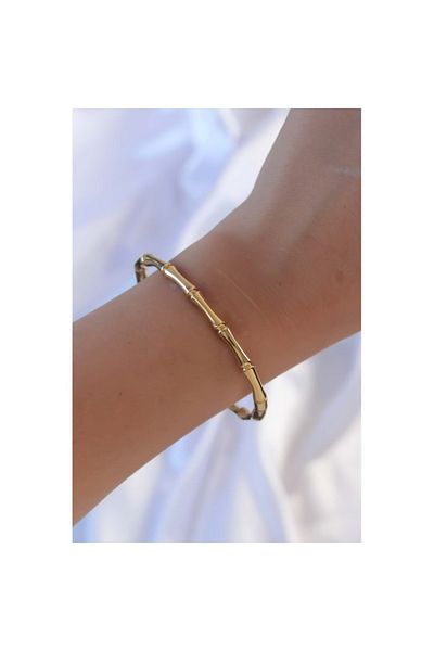 Skygo 316L Steel Gold Color Bone Model Bracelet - Tj-Bb6392