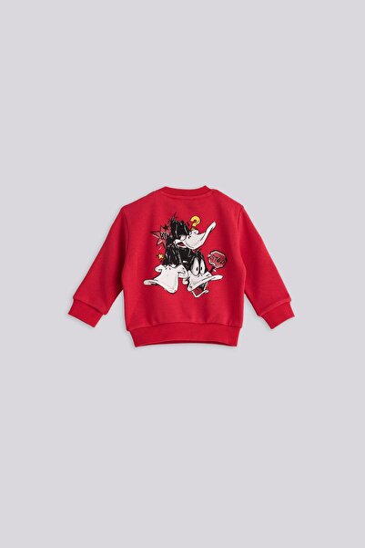 Iceberg BG Store Erkek Bebek Kırmızı Sweatshirt