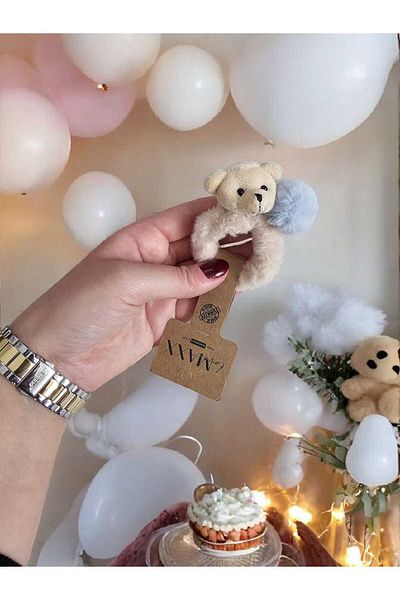 Tiny Girl's Plush Teddy Bear Detailed Pompom Hair Clip Accessory