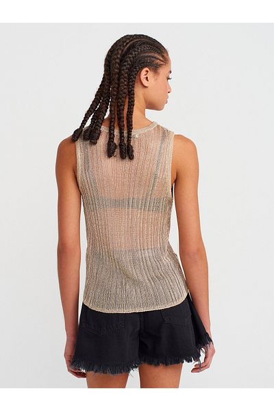Dilvin 10727 Crew Neck Transparent Knitwear Blouse-Light Gold