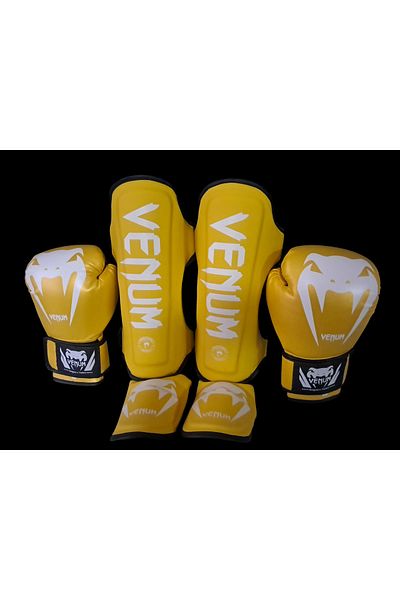 Venum Boxing Gloves