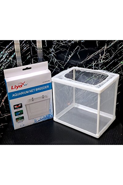 Kotenart Liya Akvaryum İçi Lepistes Canlı Doğuran Tül Balık Yavruluğu Küçük T...