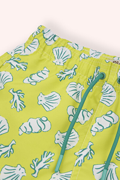 Panço Erkek Çocuk Deniz Kabuğu Desenli Sarı Deniz Şortu