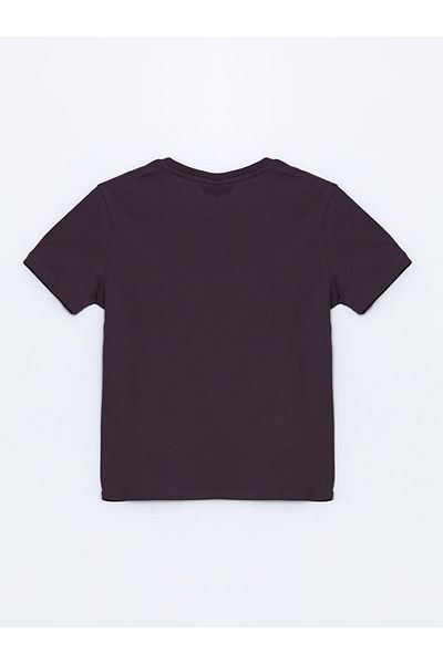 LC Waikiki Crew Neck Boy's T-Shirt