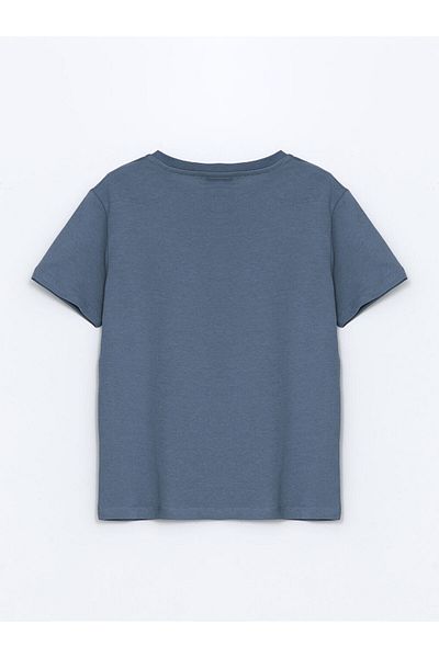 LC Waikiki Lcw Crew Neck Boy T-Shirt