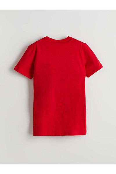 LC Waikiki Lcw Crew Neck Boy T-Shirt