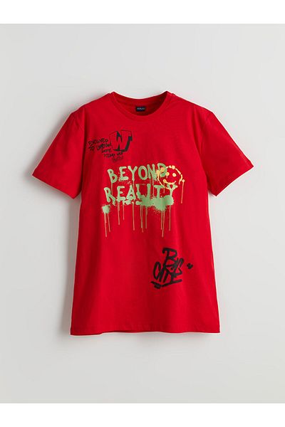LC Waikiki Lcw Crew Neck Boy T-Shirt