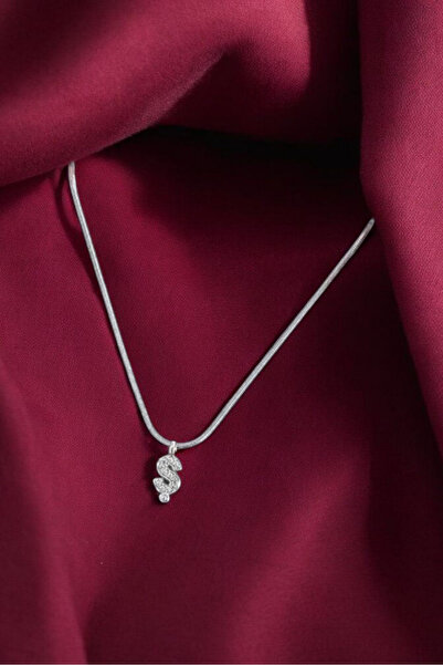 CAXBERN Unisex Çelik Zirkon Taşlı Gümüş Ş Harf Kolye