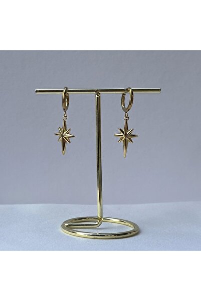 Vintagezegeni Kuzey Yıldızı Küpe