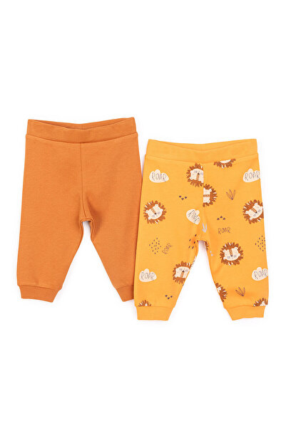 ebebek Hello Baby HelloBaby Basic Erkek Aslan Baskılı 2li Patiksiz Alt Erkek Bebek