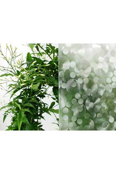 d-c-fix 176-0276 Folie de sticlă autoadezivă cu model inel (45 CM X 1 MT)