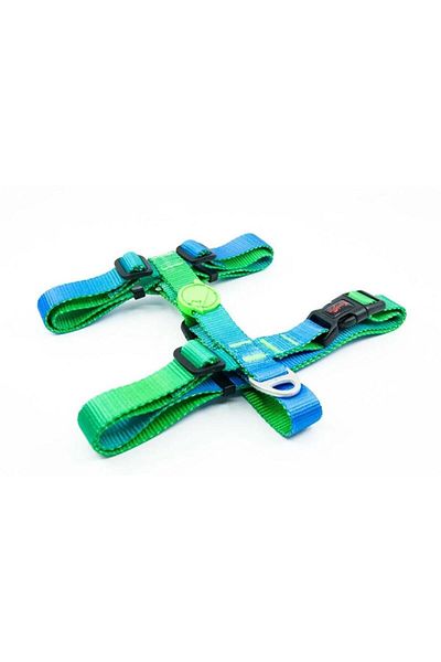 Tailpetz H-type Dog Collar Amazon S