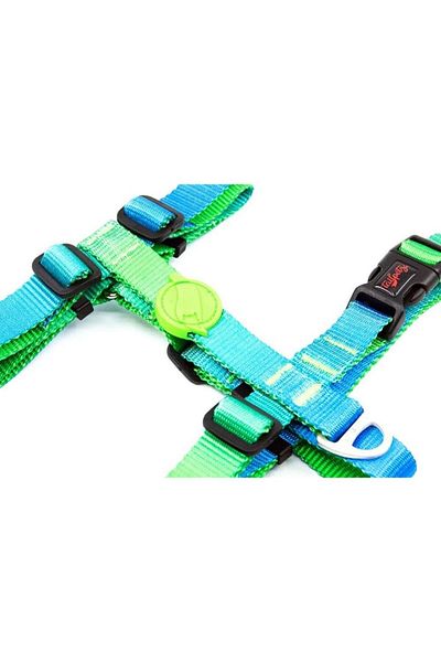 Tailpetz H-type Dog Collar Amazon S