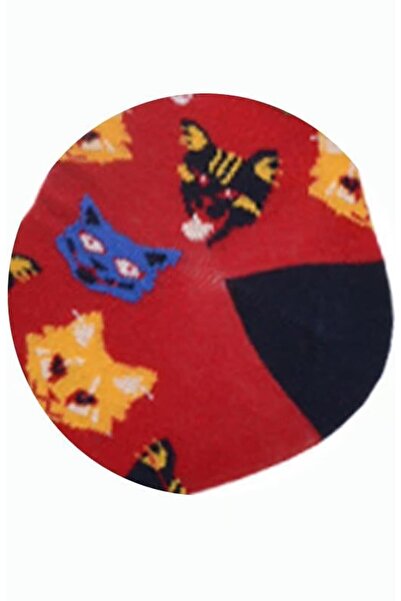 Flora Cat Dog Patterned Socks Men's Long Socks Clb