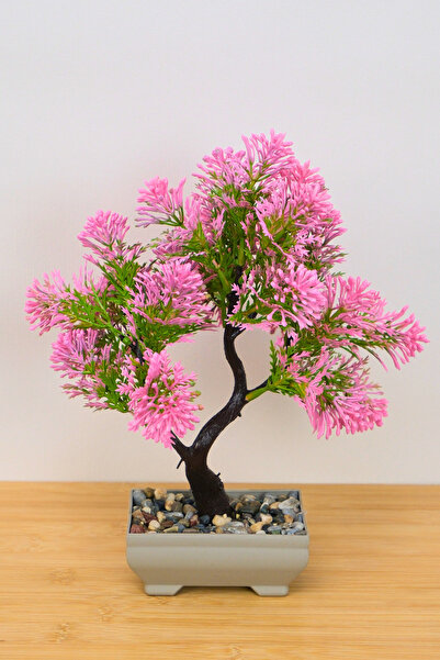 Digithome Dekoratif Saksılı Yapay Kasımpatı Ağacı Pembe 25cm EVA-5696 C1-1-423