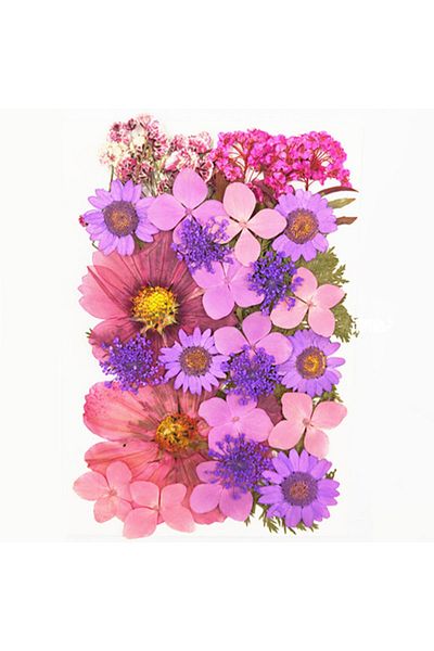 Generic Resin art dry compressed plant flower G-286