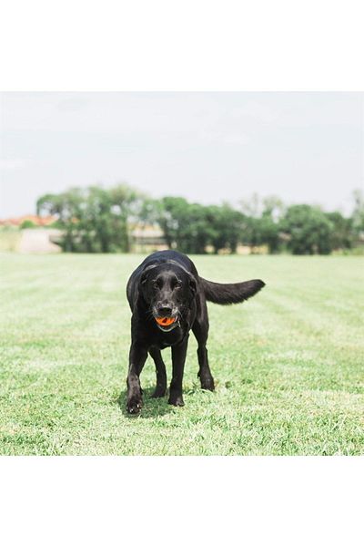 Chuckit !Air Fetch Ball Dog Play Ball (MEDIUM SIZE)