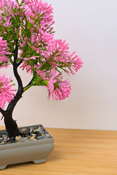 Digithome Dekoratif Saksılı Yapay Kasımpatı Ağacı Pembe 25cm EVA-5696 C1-1-423