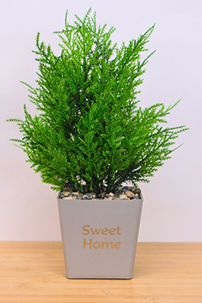 Digithome Dekoratif Saksılı Yapay Kuşkonmaz Ağacı Bej 35cm EVA-5683 C1-1-423