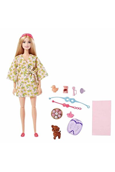 Barbie ® Bebek, Yavru köpeği ve aksesuarları, çocuklar için oyuncaklar, kişisel bakım spa günü HKT90