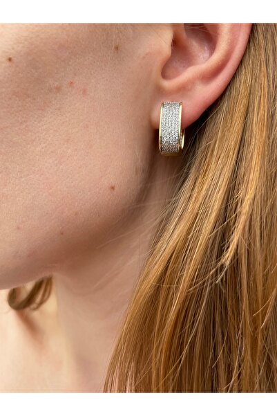 Hora Gold and Silver Premium Şık Çelik Küpe