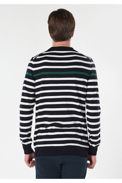 Colin's Navy Blue Striped Regular Fit Crew Neck Men's Sweater