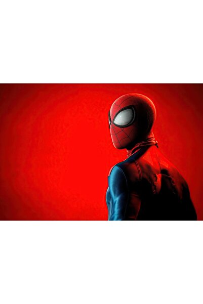 OEM Αφίσα Spiderman από τον Miles Morales, 61x90εκ., poster2528, Zumzeria