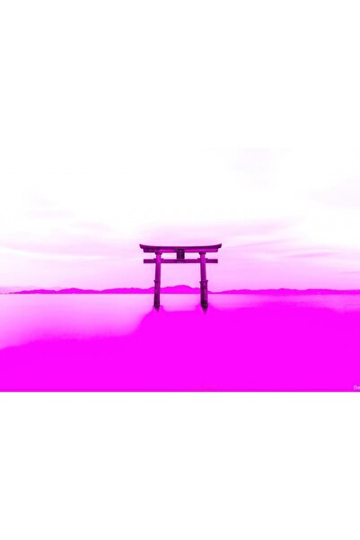 OEM Αφίσα Shirahige Shrine Vaporwave, 61x90εκ., αφίσα1649, Zumzeria